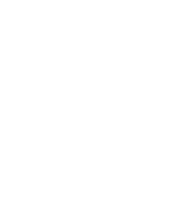 Logo atelierul de braga Timisoara